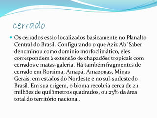 cerrado 
 Os cerrados estão localizados basicamente no Planalto 
Central do Brasil. Configurando o que Aziz Ab´Saber 
denominou como domínio morfoclimático, eles 
correspondem à extensão de chapadões tropicais com 
cerrados e matas-galeria. Há também fragmentos de 
cerrado em Roraima, Amapá, Amazonas, Minas 
Gerais, em estados do Nordeste e no sul-sudeste do 
Brasil. Em sua origem, o bioma recobria cerca de 2,1 
milhões de quilômetros quadrados, ou 23% da área 
total do território nacional. 
 