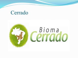 Cerrado 
 