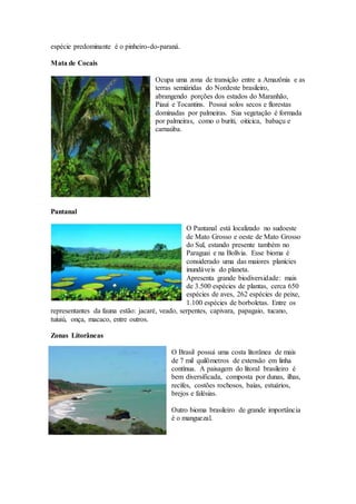 espécie predominante é o pinheiro-do-paraná.
Mata de Cocais
Ocupa uma zona de transição entre a Amazônia e as
terras semiáridas do Nordeste brasileiro,
abrangendo porções dos estados do Maranhão,
Piauí e Tocantins. Possui solos secos e florestas
dominadas por palmeiras. Sua vegetação é formada
por palmeiras, como o buriti, oiticica, babaçu e
carnaúba.
Pantanal
O Pantanal está localizado no sudoeste
de Mato Grosso e oeste de Mato Grosso
do Sul, estando presente também no
Paraguai e na Bolívia. Esse bioma é
considerado uma das maiores planícies
inundáveis do planeta.
Apresenta grande biodiversidade: mais
de 3.500 espécies de plantas, cerca 650
espécies de aves, 262 espécies de peixe,
1.100 espécies de borboletas. Entre os
representantes da fauna estão: jacaré, veado, serpentes, capivara, papagaio, tucano,
tuiuiú, onça, macaco, entre outros.
Zonas Litorâneas
O Brasil possui uma costa litorânea de mais
de 7 mil quilômetros de extensão em linha
contínua. A paisagem do litoral brasileiro é
bem diversificada, composta por dunas, ilhas,
recifes, costões rochosos, baías, estuários,
brejos e falésias.
Outro bioma brasileiro de grande importância
é o manguezal.
 