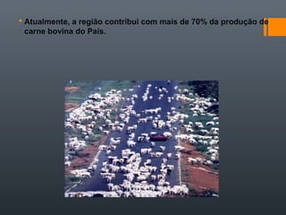  Atualmente, a região contribui com mais de 70% da produção de
carne bovina do País.
 