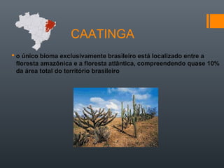 CAATINGA
 o único bioma exclusivamente brasileiro está localizado entre a
floresta amazônica e a floresta atlântica, compreendendo quase 10%
da área total do território brasileiro
 