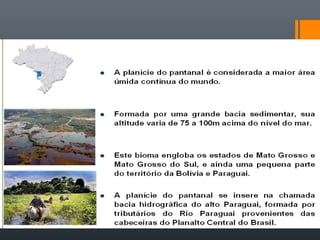 PANTANAL MATO-GROSSENSE
 