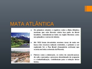 MATA ATLÂNTICA
 