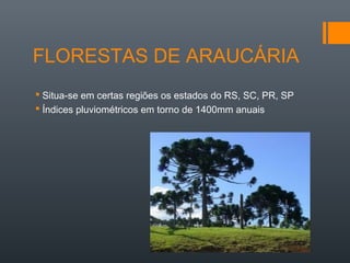 FLORESTAS DE ARAUCÁRIA
 Situa-se em certas regiões os estados do RS, SC, PR, SP
 Índices pluviométricos em torno de 1400mm anuais
 