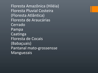 Floresta Amazônica (Hiléia)
Floresta Pluvial Costeira
(Floresta Atlântica)
Floresta de Araucárias
Cerrado
Pampa
Caatinga
Floresta de Cocais
(Babaçuais)
Pantanal mato-grossensse
Manguezais
 