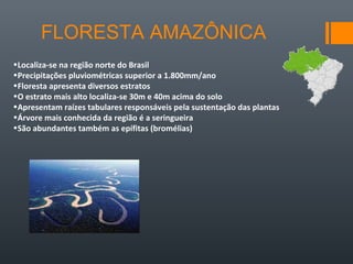 FLORESTA AMAZÔNICA
•Localiza-se na região norte do Brasil
•Precipitações pluviométricas superior a 1.800mm/ano
•Floresta apresenta diversos estratos
•O estrato mais alto localiza-se 30m e 40m acima do solo
•Apresentam raízes tabulares responsáveis pela sustentação das plantas
•Árvore mais conhecida da região é a seringueira
•São abundantes também as epífitas (bromélias)
 