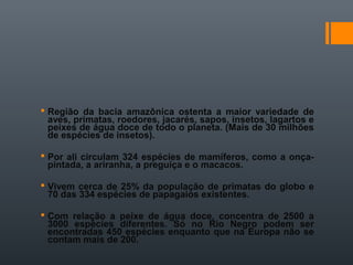  Região da bacia amazônica ostenta a maior variedade de
aves, primatas, roedores, jacarés, sapos, insetos, lagartos e
peixes de água doce de todo o planeta. (Mais de 30 milhões
de espécies de insetos).
 Por ali circulam 324 espécies de mamíferos, como a onça-
pintada, a ariranha, a preguiça e o macacos.
 Vivem cerca de 25% da população de primatas do globo e
70 das 334 espécies de papagaios existentes.
 Com relação a peixe de água doce, concentra de 2500 a
3000 espécies diferentes. Só no Rio Negro podem ser
encontradas 450 espécies enquanto que na Europa não se
contam mais de 200.
 