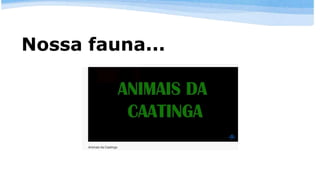 Nossa fauna...
 