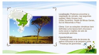 Biomas brasileiros.pptx