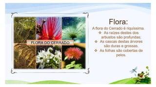 Biomas brasileiros.pptx