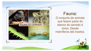 Biomas brasileiros.pptx