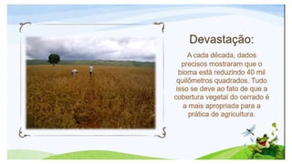 Biomas brasileiros.pptx