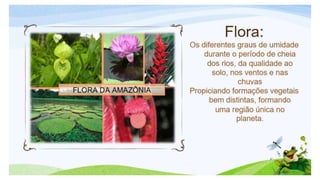 Biomas brasileiros.pptx