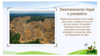 Biomas brasileiros.pptx