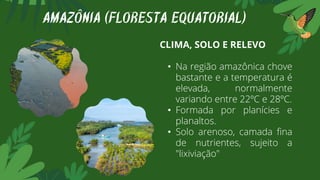 CLIMA, SOLO E RELEVO
• Na região amazônica chove
bastante e a temperatura é
elevada, normalmente
variando entre 22ºC e 28ºC.
• Formada por planícies e
planaltos.
• Solo arenoso, camada fina
de nutrientes, sujeito a
"lixiviação"
AMAZÔNIA (FLORESTA EQUATORIAL)
 