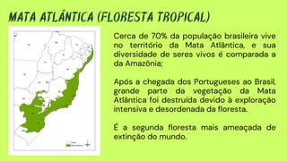 MATA ATLÂNTICA (FLORESTA TROPICAL)
Cerca de 70% da população brasileira vive
no território da Mata Atlântica, e sua
diversidade de seres vivos é comparada a
da Amazônia;
Após a chegada dos Portugueses ao Brasil,
grande parte da vegetação da Mata
Atlântica foi destruída devido à exploração
intensiva e desordenada da floresta.
É a segunda floresta mais ameaçada de
extinção do mundo.
 