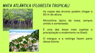 As copas das árvores podem chegar a
60 m de altura;
Microclima típico da mata, sempre
úmido e sombreado;
É uma das áreas mais sujeitas a
precipitação e endemismo no Brasil;
O mangue e a restinga fazem parte
desse bioma.
MATA ATLÂNTICA (FLORESTA TROPICAL)
 