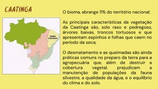 O bioma, abrange 11% do território nacional;
As principais características da vegetação
da Caatinga são, solo raso e pedregoso,
árvores baixas, troncos tortuosos e que
apresentam espinhos e folhas que caem no
período da seca;
O desmatamento e as queimadas são ainda
práticas comuns no preparo da terra para a
agropecuária que, além de destruir a
cobertura vegetal, prejudicam a
manutenção de populações da fauna
silvestre, a qualidade da água, e o equilíbrio
do clima e do solo.
CAATINGA
 