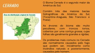 CERRADO
O Bioma Cerrado é o segundo maior da
América do Sul;
Contém três das maiores bacias
hidrográficas da América do Sul,
(Tocantins-Araguaia, São Francisco e
Prata);
As árvores do bioma são muito
peculiares, com troncos tortos,
cobertos por uma cortiça grossa, cujas
folhas são geralmente grandes e rígidas;
Os problemas mais comuns no Cerrado
são normalmente causados pelo fogo
que podem ser, inicialmente como
incêndios naturais e posteriormente,
causados pelo homem.
 