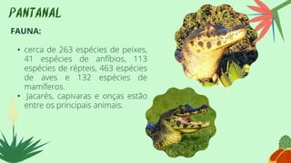 PANTANAL
FAUNA:
• cerca de 263 espécies de peixes,
41 espécies de anfíbios, 113
espécies de répteis, 463 espécies
de aves e 132 espécies de
mamíferos.
• Jacarés, capivaras e onças estão
entre os principais animais.
 