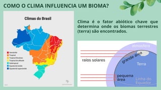 COMO O CLIMA INFLUENCIA UM BIOMA?
Clima é o fator abiótico chave que
determina onde os biomas terrestres
(terra) são encontrados.
 