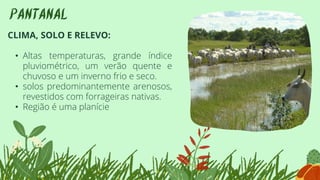 CLIMA, SOLO E RELEVO:
• Altas temperaturas, grande índice
pluviométrico, um verão quente e
chuvoso e um inverno frio e seco.
• solos predominantemente arenosos,
revestidos com forrageiras nativas.
• Região é uma planície
PANTANAL
 