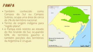 PAMPA
• Também conhecido como
Campos do Sul ou Campos
Sulinos, ocupa uma área de cerca
de 2% do território nacional.
• Termo de origem indígena para
“região plana”.
• o Pampa está restrito ao estado
do Rio Grande do Sul, ocupando
63% do território gaúcho e
também porções dos territórios
da Argentina e Uruguai.
 