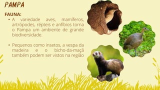 FAUNA:
• A variedade aves, mamíferos,
artrópodes, répteis e anfíbios torna
o Pampa um ambiente de grande
biodiversidade.
• Pequenos como insetos, a vespa da
madeira e o bicho-da-maçã
também podem ser vistos na região
PAMPA
 