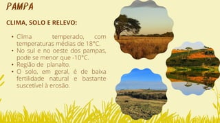 CLIMA, SOLO E RELEVO:
• Clima temperado, com
temperaturas médias de 18°C.
• No sul e no oeste dos pampas,
pode se menor que -10°C.
• Região de planalto.
• O solo, em geral, é de baixa
fertilidade natural e bastante
suscetível à erosão.
PAMPA
 
