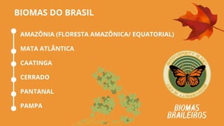BIOMAS DO BRASIL
AMAZÔNIA (FLORESTA AMAZÔNICA/ EQUATORIAL)
MATA ATLÂNTICA
CAATINGA
CERRADO
PANTANAL
PAMPA BIOMAS
BRAILEIROS
 