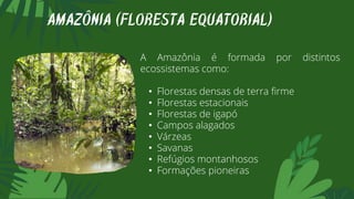 A Amazônia é formada por distintos
ecossistemas como:
• Florestas densas de terra firme
• Florestas estacionais
• Florestas de igapó
• Campos alagados
• Várzeas
• Savanas
• Refúgios montanhosos
• Formações pioneiras
AMAZÔNIA (FLORESTA EQUATORIAL)
 
