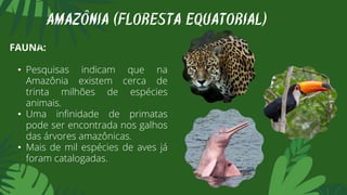 FAUNA:
• Pesquisas indicam que na
Amazônia existem cerca de
trinta milhões de espécies
animais.
• Uma infinidade de primatas
pode ser encontrada nos galhos
das árvores amazônicas.
• Mais de mil espécies de aves já
foram catalogadas.
AMAZÔNIA (FLORESTA EQUATORIAL)
 