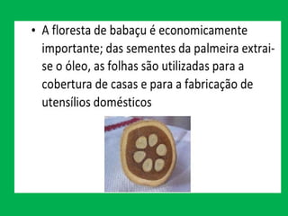 APRENDENDO SOBRE OS BIOMAS BRASILEIROS.pptx