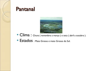 Pantanal Clima :  Chuva ( novembro a março ) e seca ( abril a outubro ). Estados  : Mato Grosso e mato Grosso do Sul.  