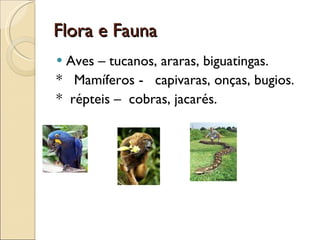 Flora e Fauna Aves – tucanos, araras, biguatingas.  *  Mamíferos -  capivaras, onças, bugios.  *  répteis –  cobras, jacarés. 