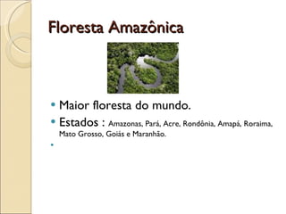 Floresta Amazônica Maior floresta do mundo. Estados :  Amazonas, Pará, Acre, Rondônia, Amapá, Roraima, Mato Grosso, Goiás e Maranhão.  