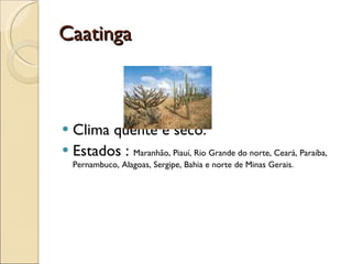 Caatinga Clima quente e seco. Estados :  Maranhão, Piauí, Rio Grande do norte, Ceará, Paraíba, Pernambuco, Alagoas, Sergipe, Bahia e norte de Minas Gerais. 