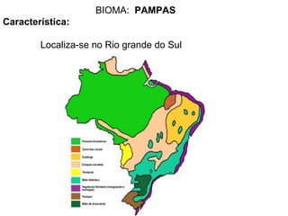 BIOMA: PAMPAS
Característica:

        Localiza-se no Rio grande do Sul
 