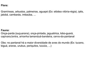 Flora:

Gramíneas, arbustos, palmeiras, aguapé (Ex: elódea vitória-régia), ipês,
jatobá, cambarás, imbaúba, ...




Fauna:
Onça-parda (suçuarana), onça-pintada, jaguatirica, lobo-guará,
capivara,lontra, ariranha tamanduá-bandeira, cervo-do-pantanal

Obs: no pantanal há a maior diversidade de aves do mundo (Ex: tucano,
biguá, araras, urubus, periquitos, tuiuiús, ...)
 