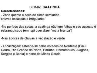 BIOMA: CAATINGA
Características:
- Zona quente e seca de clima semiárido
chuvas escassas e irregulares

-No período das secas, a caatinga não tem folhas e seu aspecto é
esbranquiçado (em tupi quer dizer “mata branca”)

-Nas épocas de chuvas a vegetação é verde

- Localização: estende-se pelos estados do Nordeste (Piauí,
Ceará, Rio Grande do Norte, Paraíba, Pernambuco, Alagoas,
Sergipe e Bahia) e norte de Minas Gerais
 