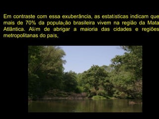 Em contraste com essa exuberância, as estatísticas indicam que
mais de 70% da população brasileira vivem na região da Mata
Atlântica. Além de abrigar a maioria das cidades e regiões
metropolitanas do país,
 