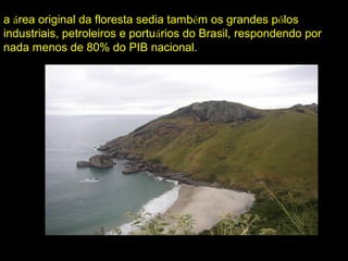 a área original da floresta sedia também os grandes pólos
industriais, petroleiros e portuários do Brasil, respondendo por
nada menos de 80% do PIB nacional.
 