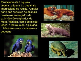 Paralelamente à riqueza
vegetal, a fauna é o que mais
impressiona na região. A maior
parte das espécies de animais
brasileiros ameaçados de
extinção são originários da
Mata Atlântica, como os micos-
leões, a lontra, a onça-pintada,
o tatu-canastra e a arara-azul-
pequena
 