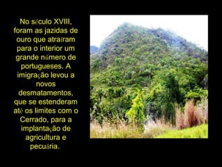 No século XVIII,
foram as jazidas de
ouro que atraíram
para o interior um
grande número de
portugueses. A
imigração levou a
novos
desmatamentos,
que se estenderam
até os limites com o
Cerrado, para a
implantação de
agricultura e
pecuária.
 