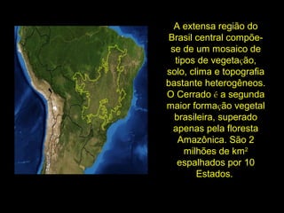 A extensa região do
Brasil central compõe-
se de um mosaico de
tipos de vegetação,
solo, clima e topografia
bastante heterogêneos.
O Cerrado é a segunda
maior formação vegetal
brasileira, superado
apenas pela floresta
Amazônica. São 2
milhões de km2
espalhados por 10
Estados.
 