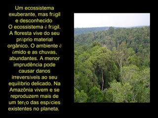 Um ecossistema
exuberante, mas frágil
e desconhecido
O ecossistema é frágil.
A floresta vive do seu
próprio material
orgânico. O ambiente é
úmido e as chuvas,
abundantes. A menor
imprudência pode
causar danos
irreversíveis ao seu
equilíbrio delicado. Na
Amazônia vivem e se
reproduzem mais de
um terço das espécies
existentes no planeta.
 