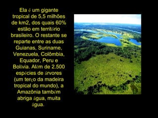 Ela é um gigante
tropical de 5,5 milhões
de km2, dos quais 60%
estão em território
brasileiro. O restante se
reparte entre as duas
Guianas, Suriname,
Venezuela, Colômbia,
Equador, Peru e
Bolívia. Além de 2.500
espécies de árvores
(um terço da madeira
tropical do mundo), a
Amazônia também
abriga água, muita
água.
 