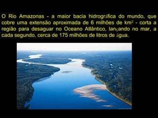O Rio Amazonas - a maior bacia hidrográfica do mundo, que
cobre uma extensão aproximada de 6 milhões de km2
- corta a
região para desaguar no Oceano Atlântico, lançando no mar, a
cada segundo, cerca de 175 milhões de litros de água.
 