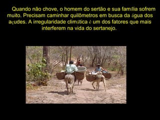 Quando não chove, o homem do sertão e sua família sofrem
muito. Precisam caminhar quilômetros em busca da água dos
açudes. A irregularidade climática é um dos fatores que mais
interferem na vida do sertanejo.
 