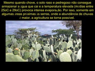Mesmo quando chove, o solo raso e pedregoso não consegue
armazenar a água que cai e a temperatura elevada (médias entre
25oC e 29oC) provoca intensa evaporação. Por isso, somente em
algumas áreas próximas às serras, onde a abundância de chuvas
é maior, a agricultura se torna possível.
 